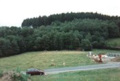 Wiesen und Wlder